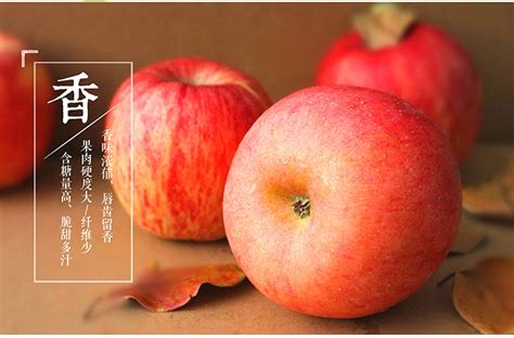 农家乐采摘园-抚顺水果采摘园-寒富苹果-水果罐头-水果深加工-清原抚红水果种植专业合作社