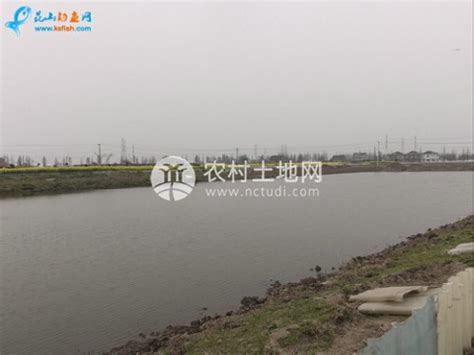 江门鹤山市216亩农场 整体转让-江门市土地转让-3fang土地网