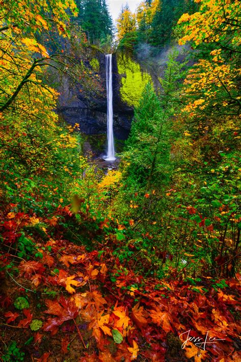 Autumn Falls (64 фото)