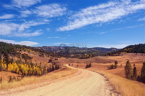 五彩缤纷的阳光森林景象秋天的季节高清图片下载-正版图片300042440-摄图网