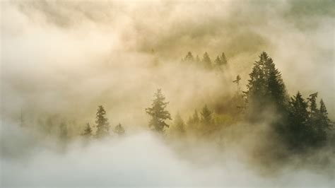 早上有雾的句子,早上雾很美的句子,描写清晨的优美句子_大山谷图库