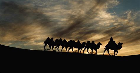日落，骆驼，驼队，剪影，夕阳，动物，沙漠，逆光，巴丹吉林沙漠视频素材_ID:VCG2216075201-VCG.COM