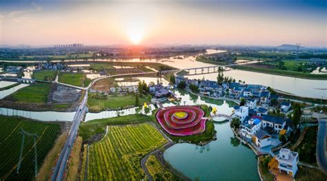 南京江宁：打造美丽乡村“百花园”，争当乡村振兴新样板|农业农村|南京|三农_新浪新闻