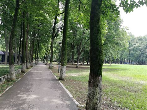 武汉市区最大的公园——解放公园，面积690亩，风光旎丽景色宜人