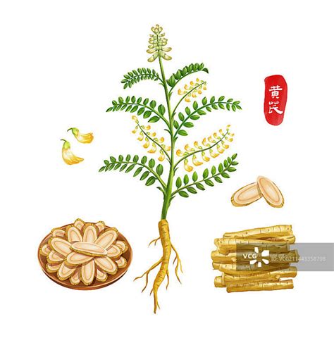 BUQ 的图像结果