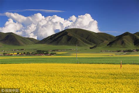 China issues white paper on ecological progress on Qinghai-Tibet ...