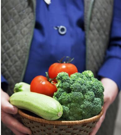 有机菜和无机菜的区别（乡下种的蔬菜是有机还是无机）-碳中和资讯网