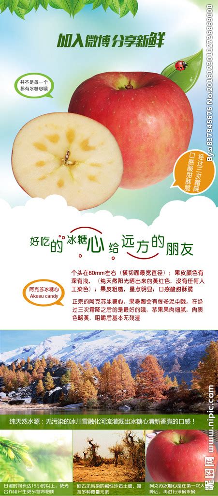 阿克苏冰糖心苹果 | 免费推广平台、免费推广网站、免费推广产品