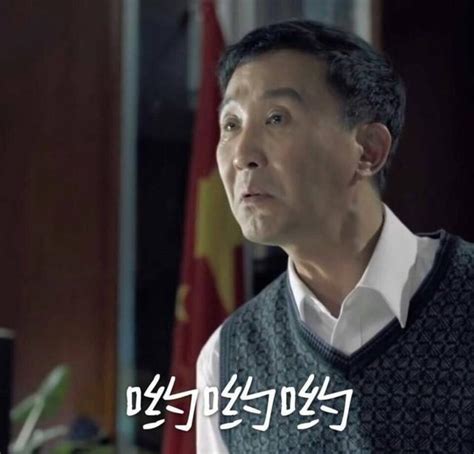 热播电视剧《人民的名义》系列表情包_[标签:标题1]