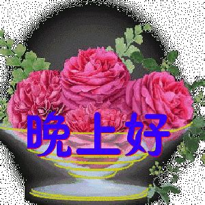 晚上好动态图图片