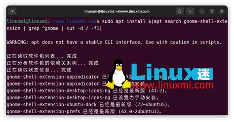 如何在 Ubuntu 22.04 LTS Linux 上安装 Tweak 优化工具 - Linux迷
