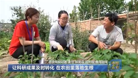 【中国三农报道】直击“三夏”现场（二） 让科研成果及时转化 在农田里落地生根