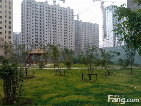 万龙丽水湾小区内部绿化外景图（2013-9）-长春搜房网