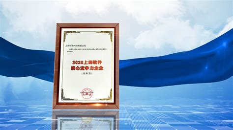 2020年上海市软件企业核心竞争力评价名单公布-上海软件公司