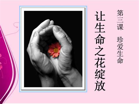百合花花语，代表着纯洁、热烈的爱、永远的幸福 —【发财农业网】