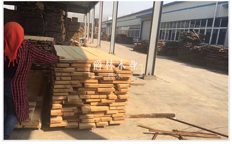 俄罗斯桦木--板材原木_产品图片信息_中国木材网！