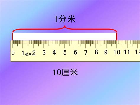 苏教版二年级下册数学《认识分米和毫米》课件PPT_word文档在线阅读与下载_免费文档