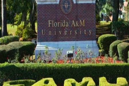 佛罗里达大学_University of Florida_佛罗里达大学入学条件_佛罗里达大学招生信息_佛罗里达大学怎么样_佛罗里达大学世界排名