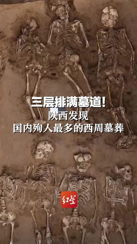 三层排满墓道！陕西发现国内殉人最多的西周墓葬