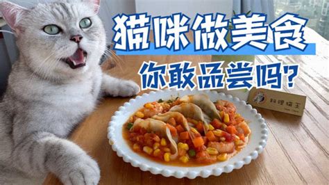 【料理猫王】猫咪做的饺子，一个敢做，一个敢吃