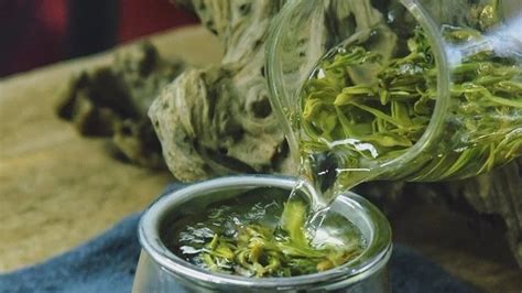 绿茶怎么冲泡最好 怎么冲泡绿茶口感最佳-香烟网