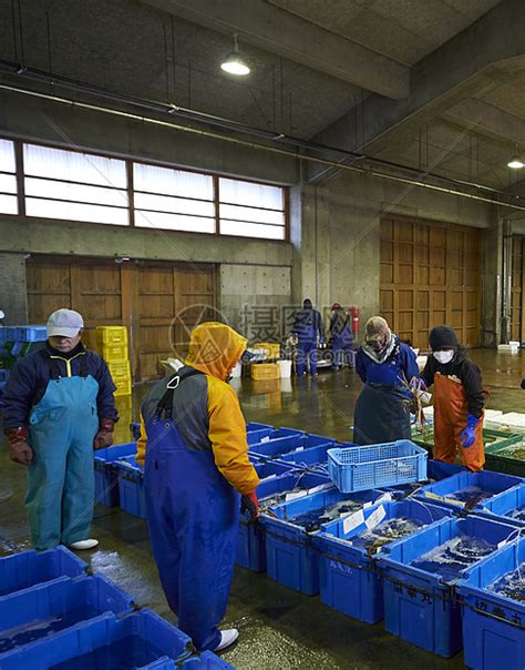 海鲜批发市场的渔民高清图片下载-正版图片502074489-摄图网