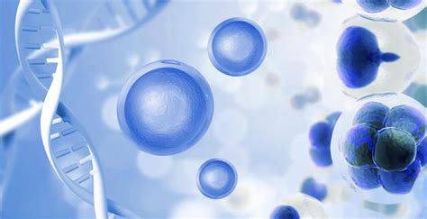 日本利用干细胞再生技术开发治疗脱发新方法-行业动态-泓信生物——汇聚有生命力的未来