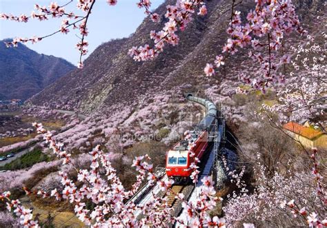 甘肃平凉：开往春天的列车-人民图片网