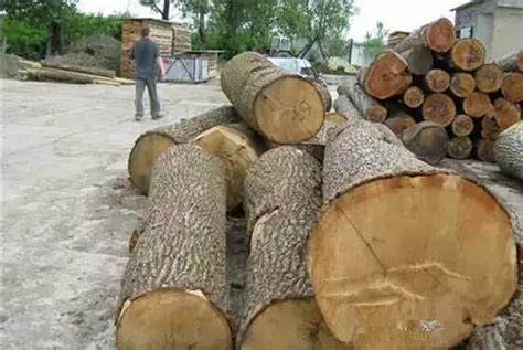 木材业的现状：需求量增高，进口量加大，原材料涨价__财经头条