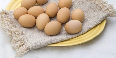 鸡蛋涨价，蛋却下少了，这批11000只高峰鸡问题来了，秋季常见问题，您注意了吗？ - 蛋鸡养殖(饲养管理,疾病防控) 鸡病专业网论坛