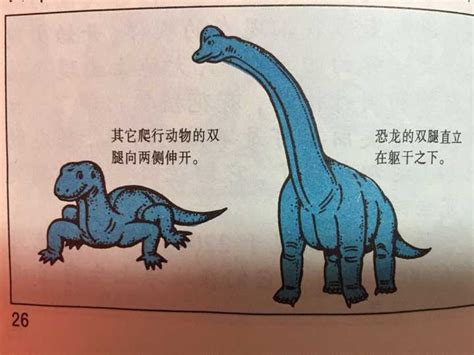 世界上最大的恐龙是那种？谁又最重？最长？最高？ - 知乎