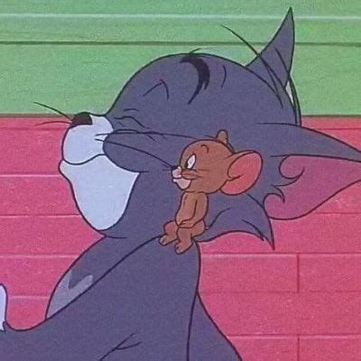 Tm猫头像图片