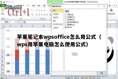 苹果笔记本wpsoffice怎么用公式（wps用苹果电脑怎么使用公式）_软件综合信息