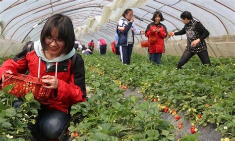 农业大数据在现代农业的应用 - 行业新闻 - 北京东方迈德科技有限公司
