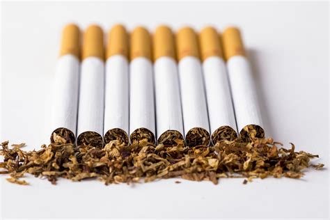 2022年烟头回收多少钱一斤 想做烟头回收项目怎么做 - 点子哥