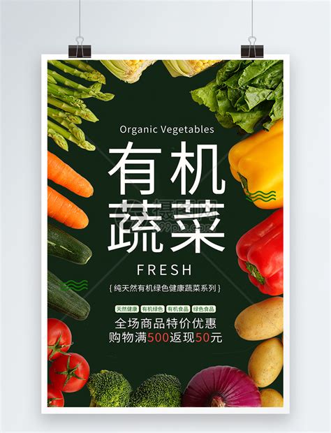 现代农业有机蔬菜种植基地高清图片下载-正版图片501625496-摄图网