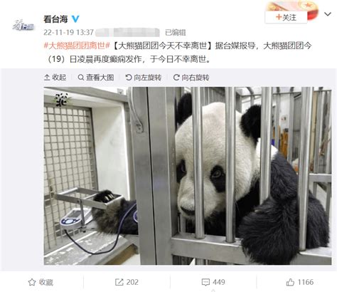 1亿多人次投票给它取名的那个仔，走了......_大熊猫_动物园_大陆