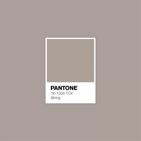 PANTONE 16-1305 TCX String · Color · Palette Collection