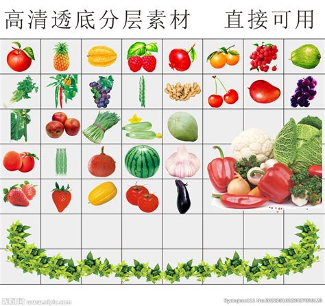 水果有哪些品种（常见的水果大全种类100种） - 达达搜