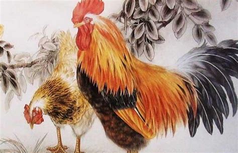 1981年属鸡的吉祥色，1981年属鸡适合哪个方位_生肖_若朴堂文化