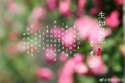 【周深】张野合作电音单曲《Heart Of Peace》MV-bilibili(B站)无水印视频解析——YIUIOS易柚斯