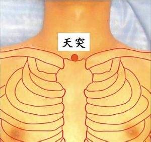 天突准确位置图图片