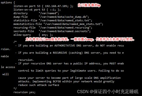 DNS服务以及安装过程详解_dns服务器的安装过程_橘子女侠的博客-CSDN博客