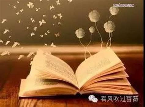 解读你和你的人生，这就是读书的意义
