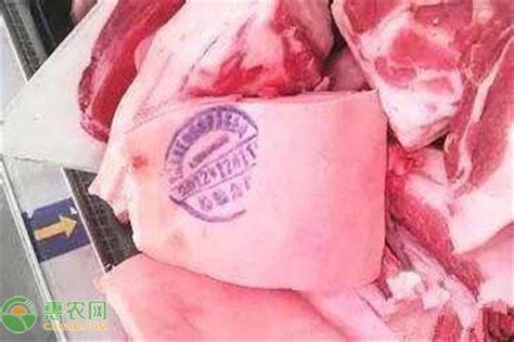 猪肉现在多少钱一斤（今日猪肉价格多少钱一斤） - 首都新闻网