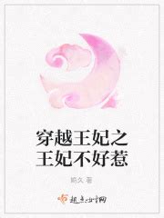 第一章 _《穿越王妃之王妃不好惹》小说在线阅读 - 起点中文网