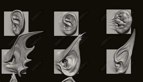 40组C4D怪兽耳朵精灵耳和眼睛人体器官模型下载-C4D模型-菜鸟C4D