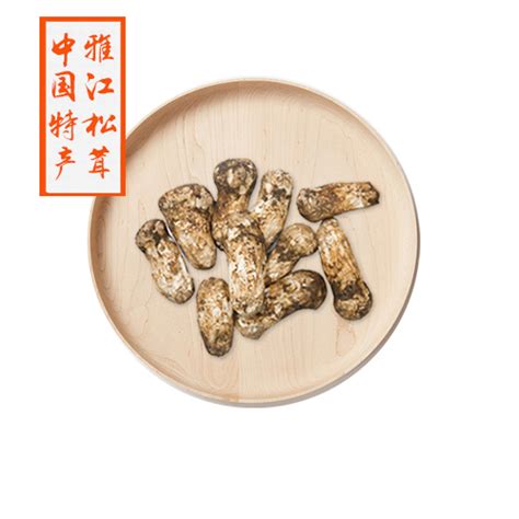【松茸】甘孜雅江新鲜松茸一级5-7厘米（1000g）顺丰冷链包邮