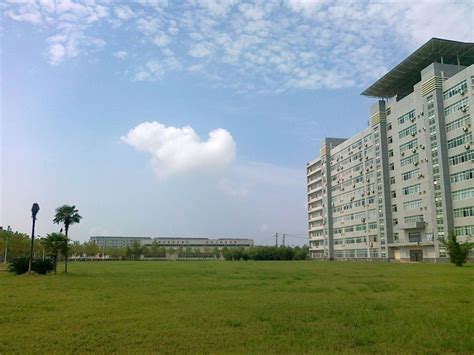 武汉珞珈学院景观规划设计_迈丘设计