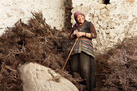 藏族,女人,夏尔巴人,姆斯堂自治区,安纳普纳生态保护区正版图片素材下载_ID:160420351 - Veer图库